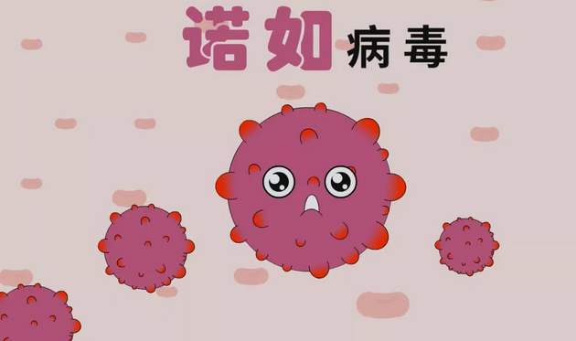 华唐艺术高中