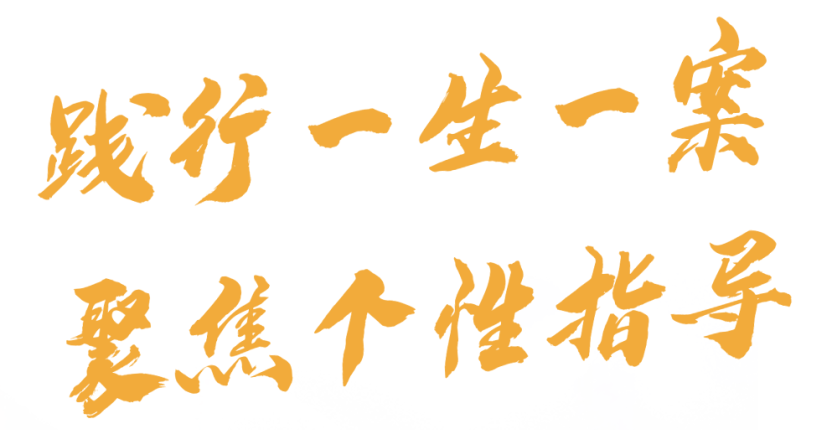 精英华唐艺术高中一生一案